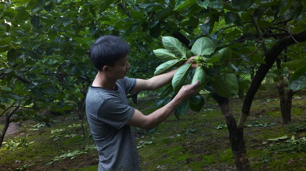 1654043917167558.png 2.png