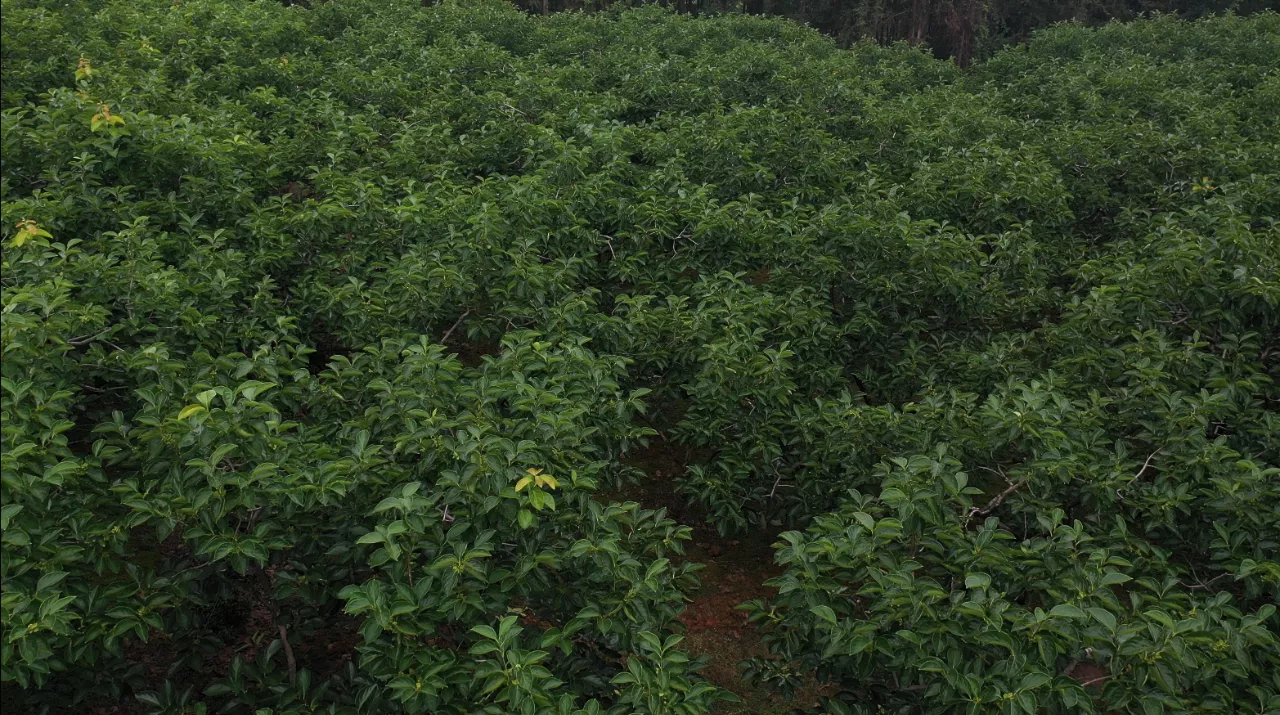 1654043949998252.png 4.png