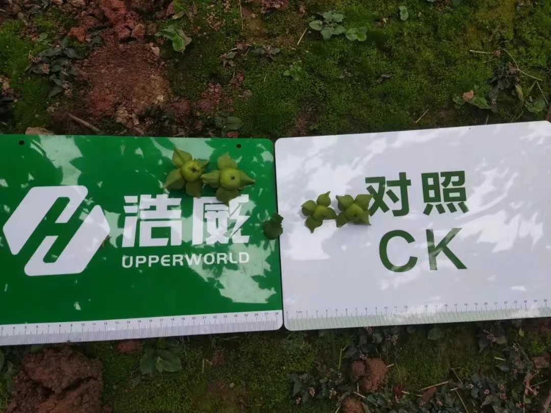 1654043977360833.jpg 6.jpg