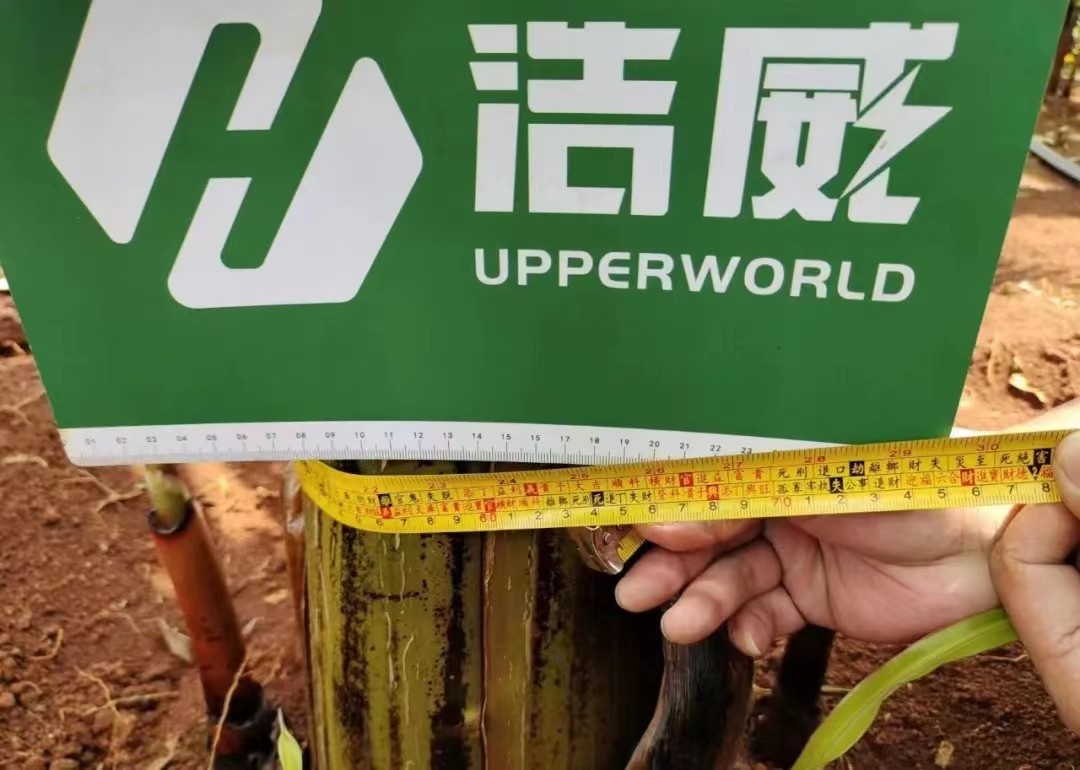 1654649089914905.jpg 5.jpg