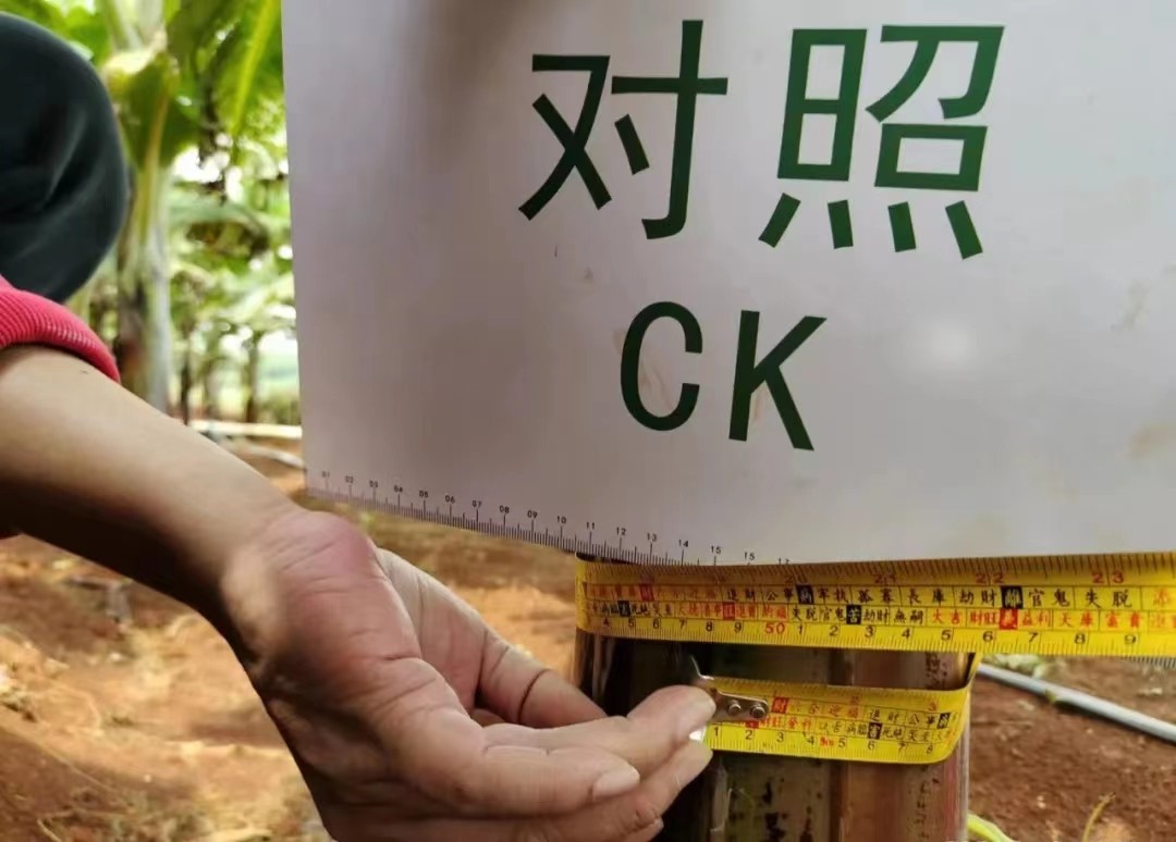 1654649103766191.jpg 6.jpg