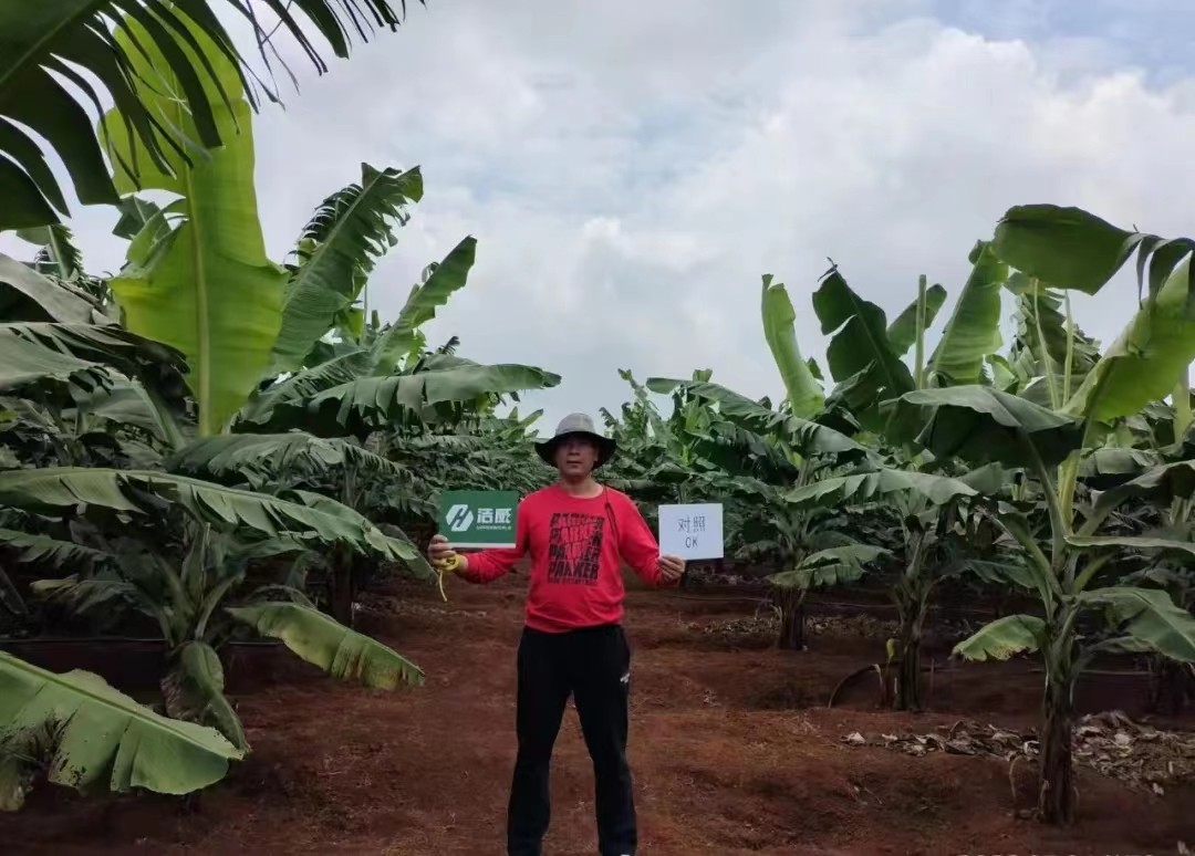 1654649116662401.jpg 7.jpg