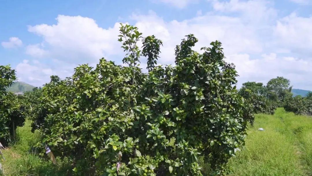 1666335901956554.jpg 微信图片_20221021150243.jpg