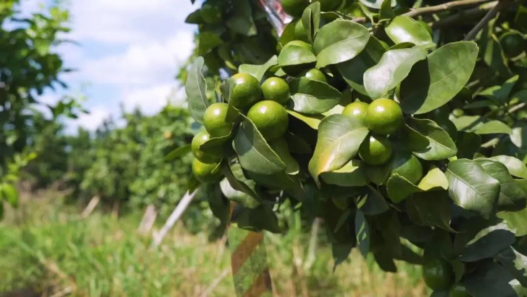 1666336063642053.jpg 微信图片_20221021150524.jpg