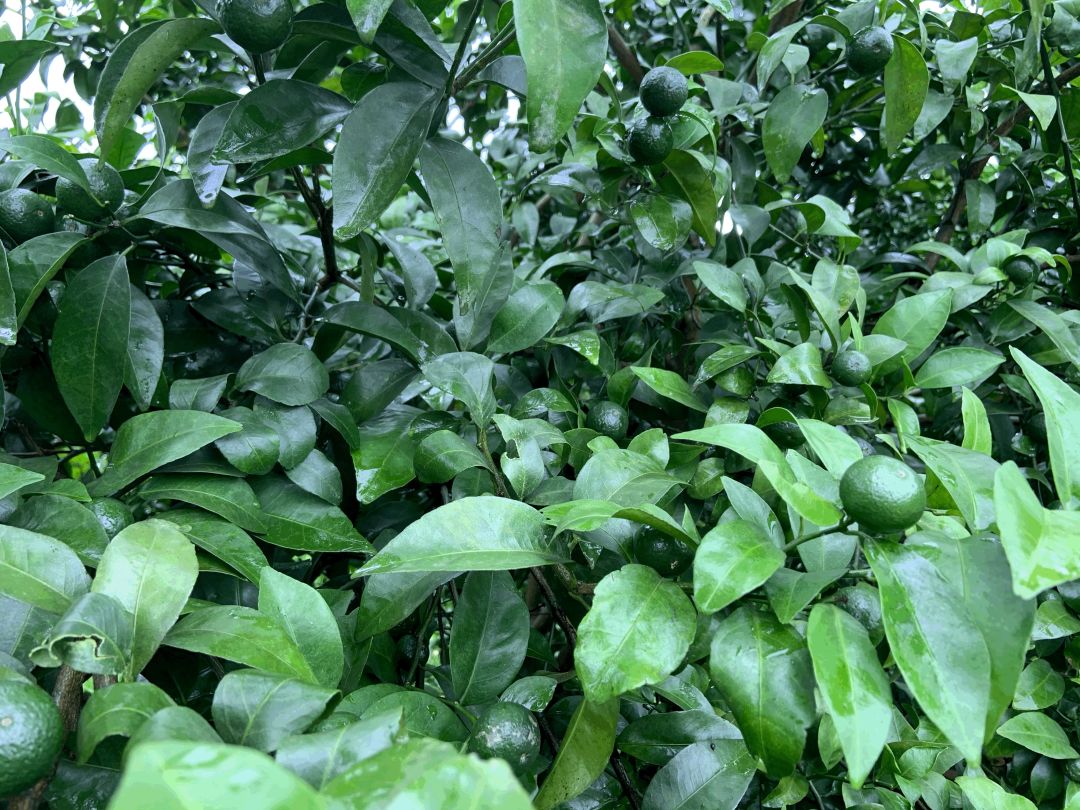 1666336581717251.jpg 微信图片_20221021150549.jpg