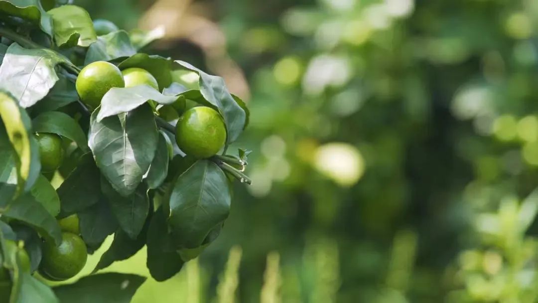 1666336599712180.jpg 微信图片_20221021150858.jpg