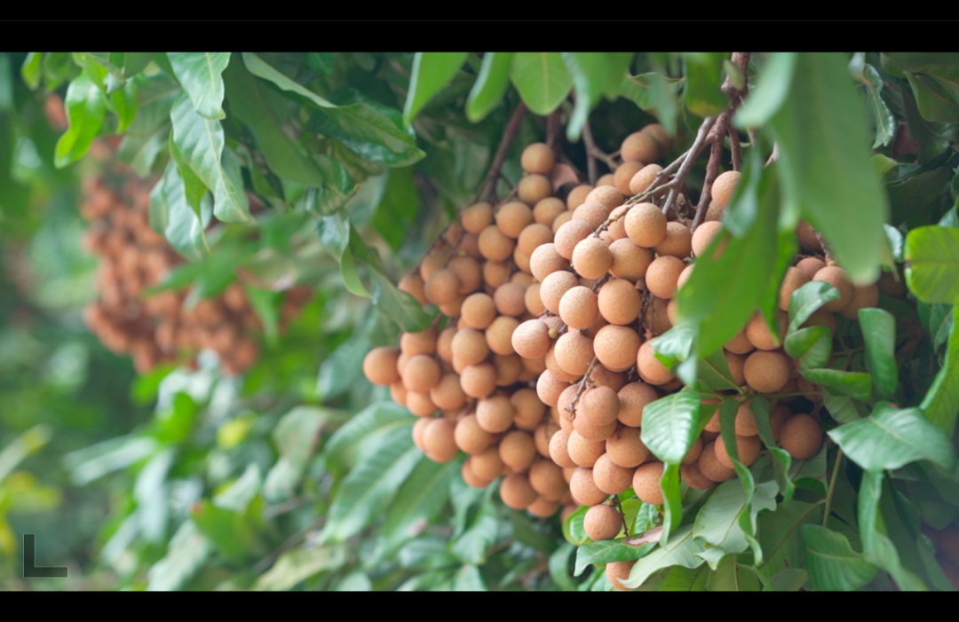 1680742549503007.png 14.png