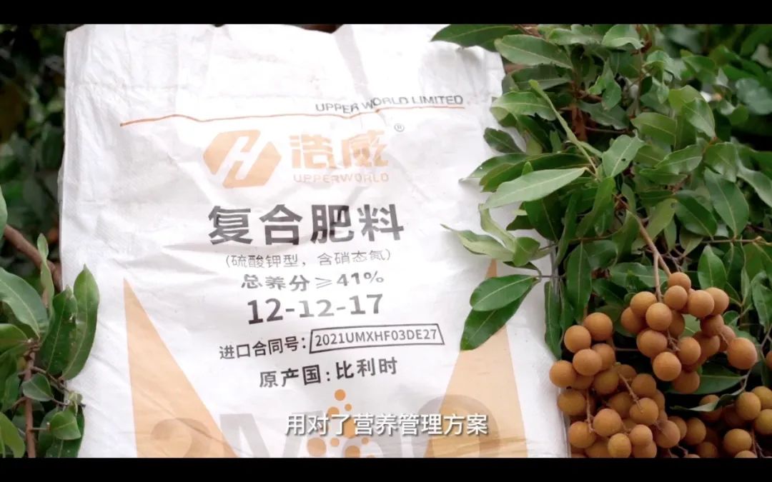 1680742563472842.jpg 15.jpg