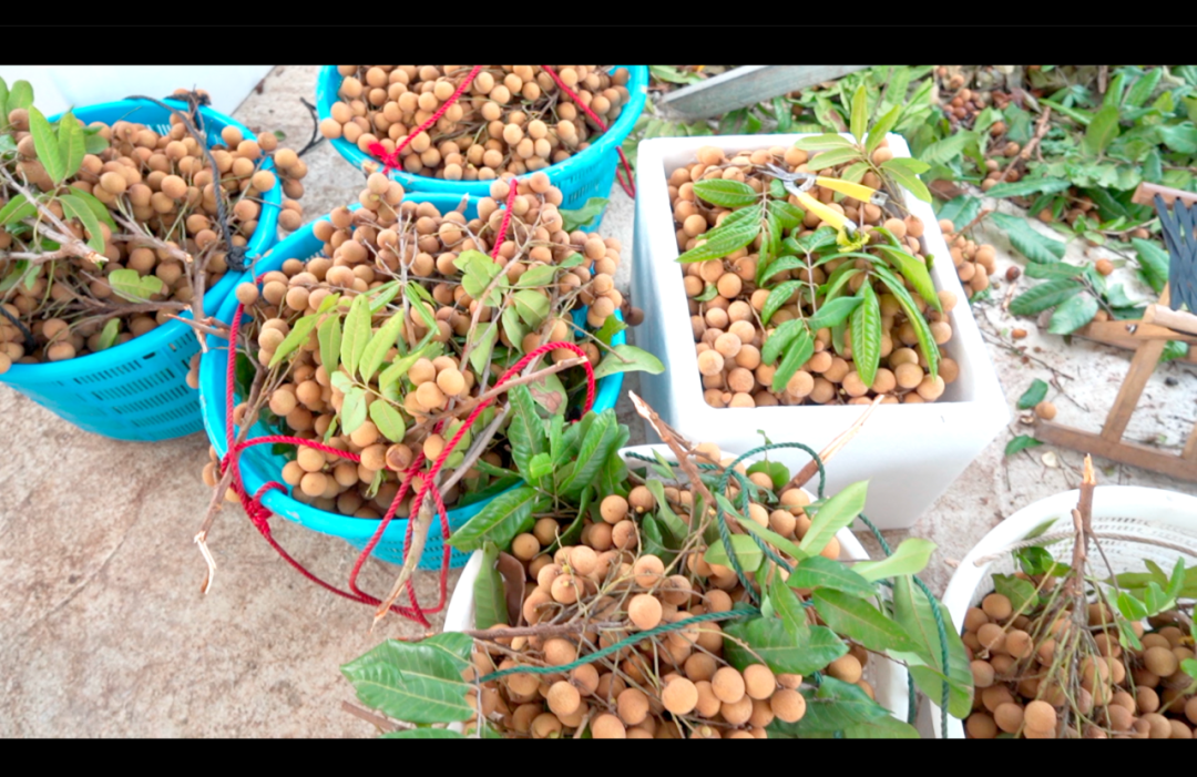 1680742614464293.png 16.png