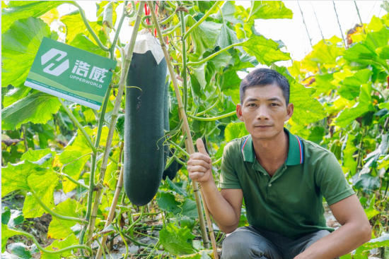 1762335921568407.jpg 10.jpg